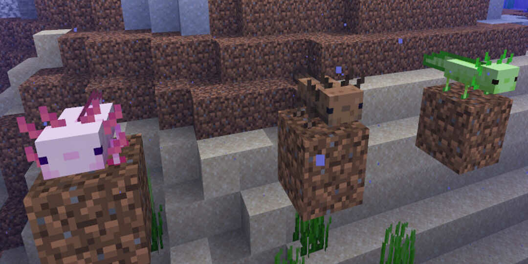 Minecraft új mob az axolotl
