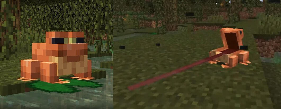 Minecraft béka wild frissítés